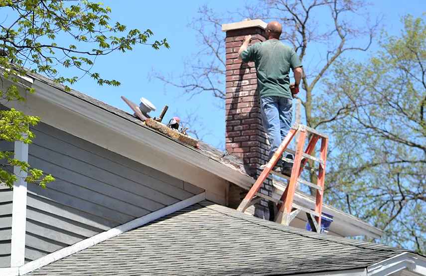 Chimney & Fireplace Inspections Services in Delaware, OH